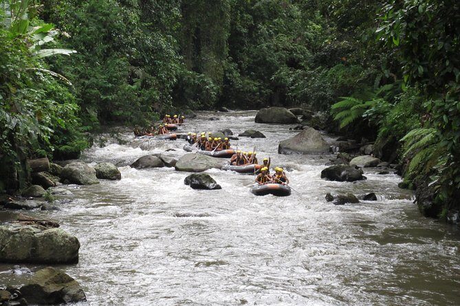 Bali Rafting Ubud with Lunch - Price and value: what $24.95 actually includes
