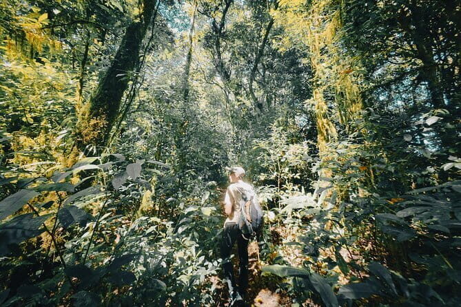 Bali Rainforest Hiking With Canoeing And Waterfall Adventure - Key highlights you’ll feel fast
