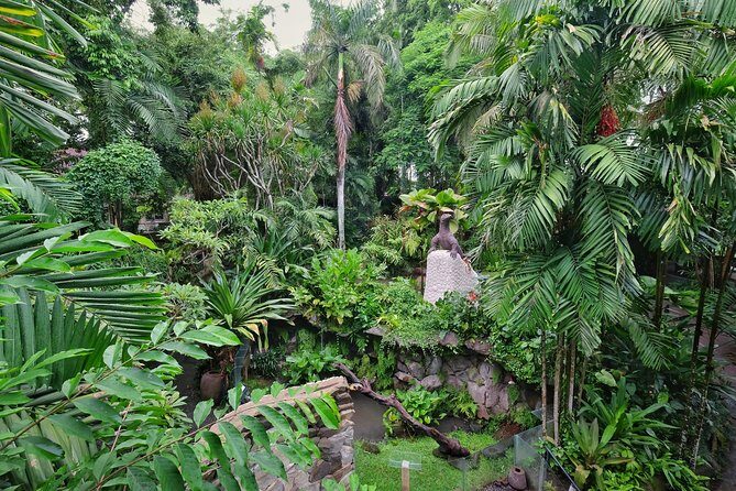 Bali Reptile Park Entrance Ticket - 150+ reptile species in one visit: how to see the most