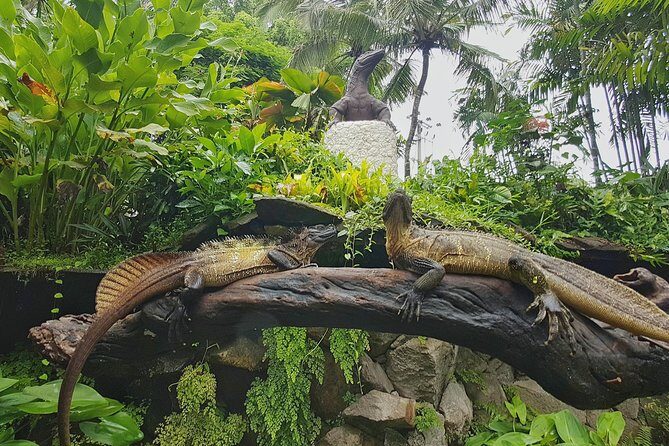 Bali Reptile Park Entrance Ticket - Hands-on moments: holding reptiles and petting areas