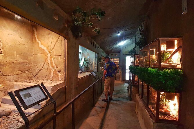 Bali Reptile Park Entrance Ticket - The show and feeding moments: what to look for