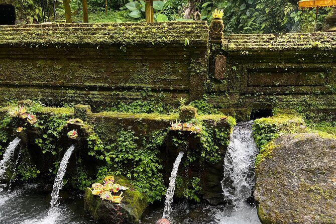Bali Samanic Healing Purification Natural - Price and value: why $55 can make sense