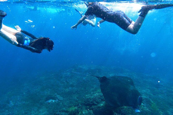 Bali Scuba Diving at Nusa Penida Manta Point For Certified Diver - Packing smart for a Nusa Penida speedboat day