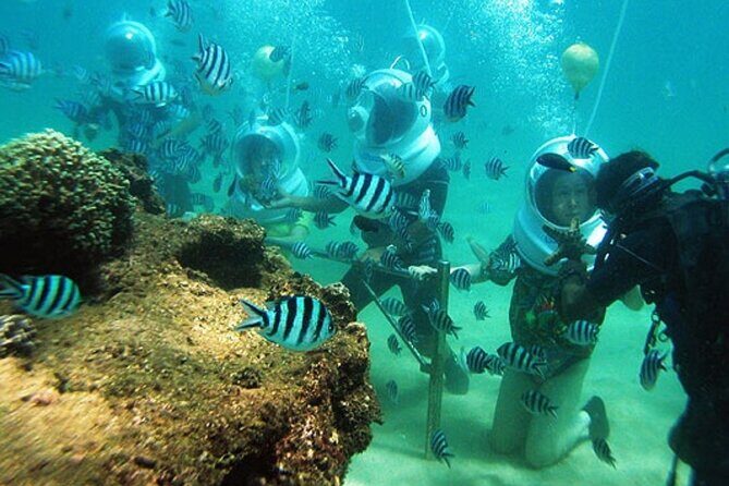 Bali Sea Walker - Price and value at $38.98: what you’re paying for