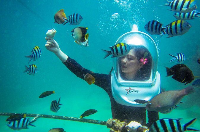 Bali Sea Walker Under Water Experience With Hotel Transfer - The 30-minute underwater session: what happens in the water