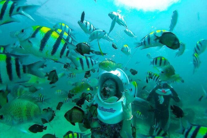 Bali Sea Walker Under Water Experience With Hotel Transfer - Seeing coral and tropical fish at reef level