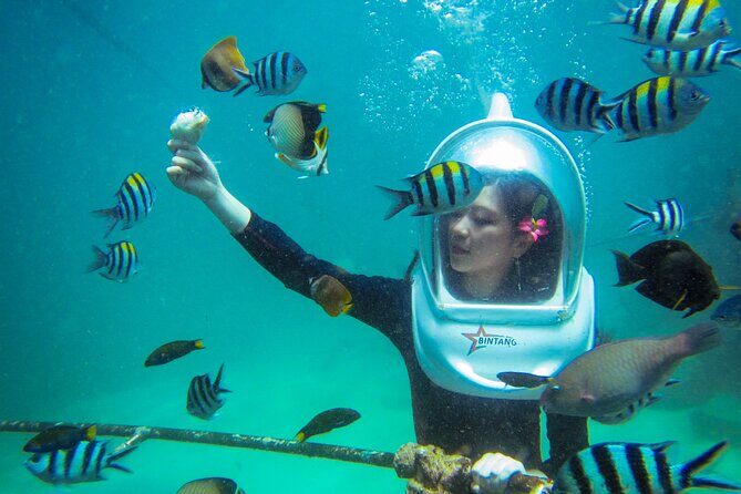 Bali Sea Walker Under Water Experience With Hotel Transfer - Price and value: is $32.50 a smart use of your Bali day?