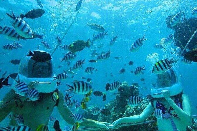 Bali Sea Walker Under Water Experience With Hotel Transfer - Who this Sea Walker experience fits best