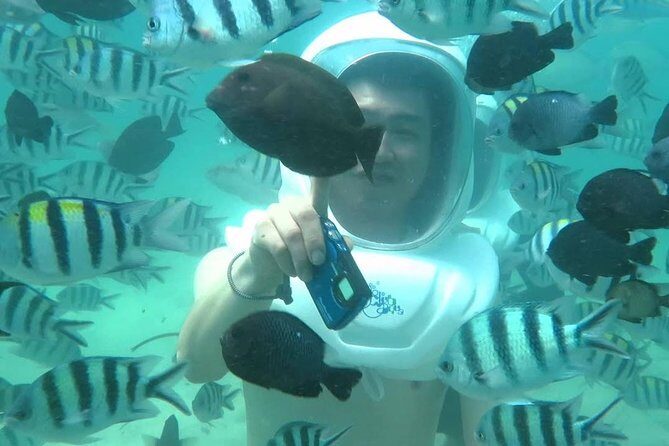 Bali Sea Walking Experience - Marine life and fish feeding: the close-up factor