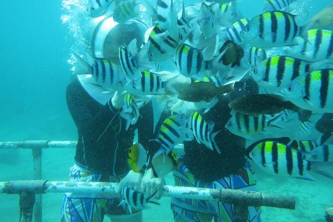 Bali Sea Walking Experience - Transfers and timing: how the day flows through Legian, Kuta, Jimbaran, and Nusa Dua