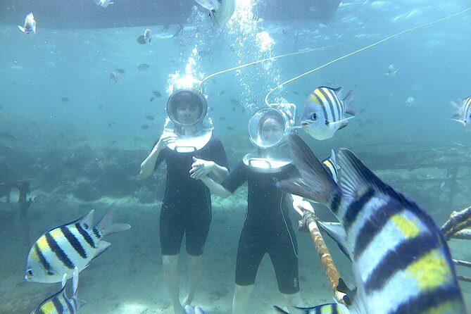 Bali Seawalker - The Underwater Session: 20 Minutes of Coral and Color
