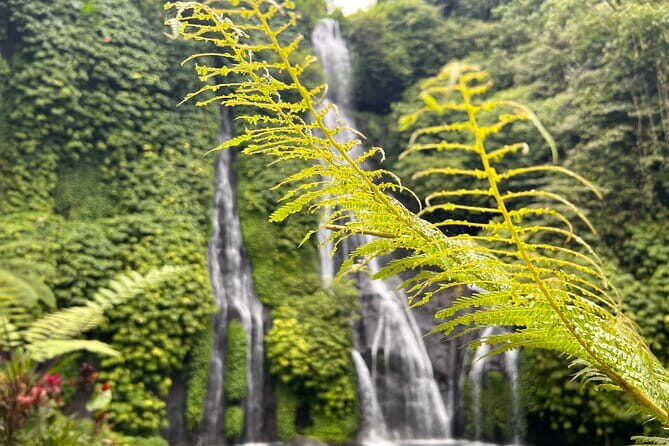 Bali Secret Waterfalls: Banyumala & Leke Leke Waterfalls - Leke Leke Waterfall Trek: Steep Descent and Rice-Field Views