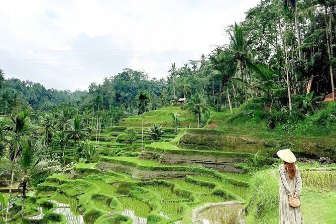 Bali Shore Excursions : Best of Bali Tour - The “Other Ubud Highlights” Part: How Your Guide Fills the Gaps
