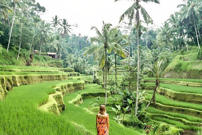 Bali Shore Excursions : Best of Bali Tour - Optional Entrance Fees: Choosing the Smooth Version