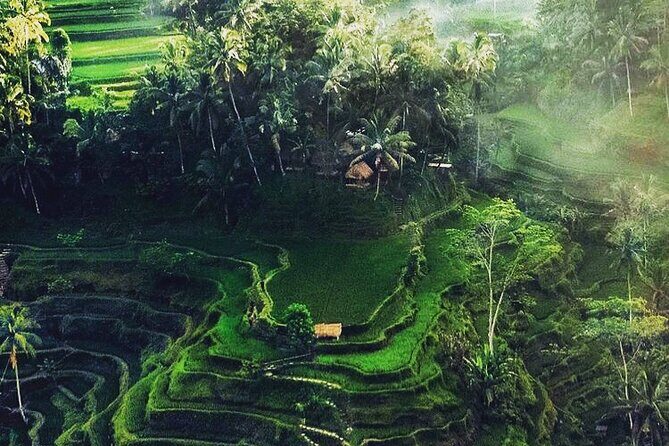 Bali Sightseeing - The Real MVPs: Sindu, Dabi, and the Value of a Relaxed Guide