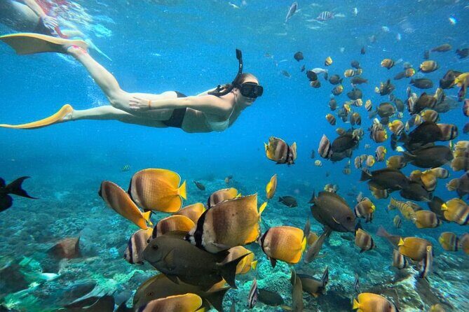Bali Snorkeling 2 Spot at Blue Lagoon with Lunch & Transport - Key highlights at a glance