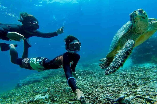 Bali Snorkeling 2 Spot at Blue Lagoon with Lunch & Transport - Blue Lagoon in Padangbai: Calm Water, Real Sea Life
