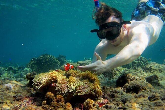 Bali Snorkeling 2 Spot at Blue Lagoon with Lunch & Transport - Lunch and the break that keeps the day fun