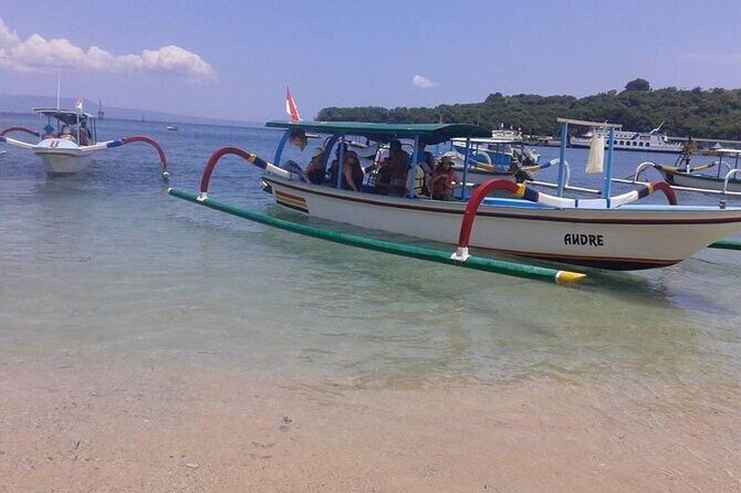 Bali Snorkeling 2 Spot at Blue Lagoon with Lunch & Transport - Private guide + two hours in the water: what you gain