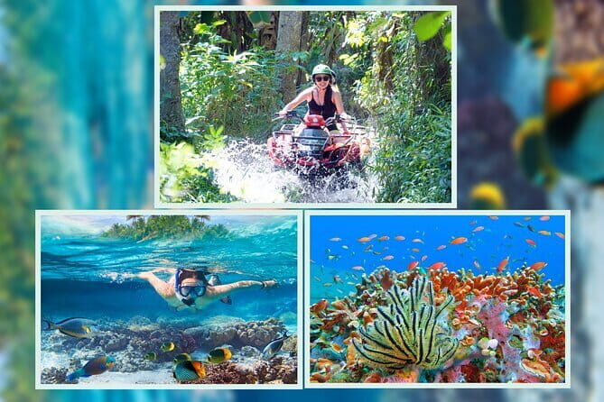 Bali Snorkeling 2 Spots & ATV Quad Bike with Lunch & Transfer - Key Highlights You Should Care About