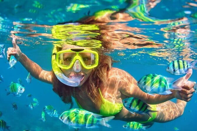 Bali Snorkeling 2 Spots & ATV Quad Bike with Lunch & Transfer - A 5-Hour Bali Mix That Feels Like Two Good Days