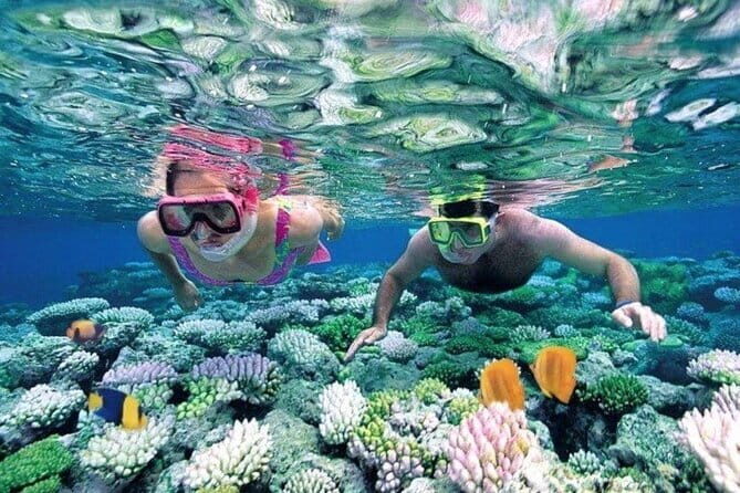 Bali Snorkeling at Blue Lagoon and Tanjung Jepun with Transfer - Key highlights worth planning for