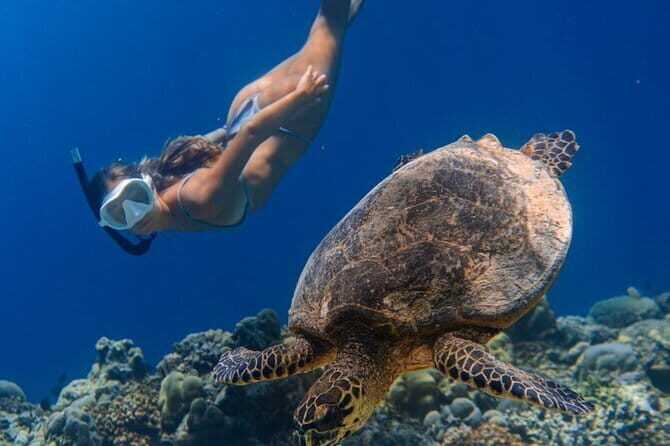 Bali Snorkeling at Blue Lagoon and Tanjung Jepun with Transfer - Safety briefing and the guides: comfort comes first