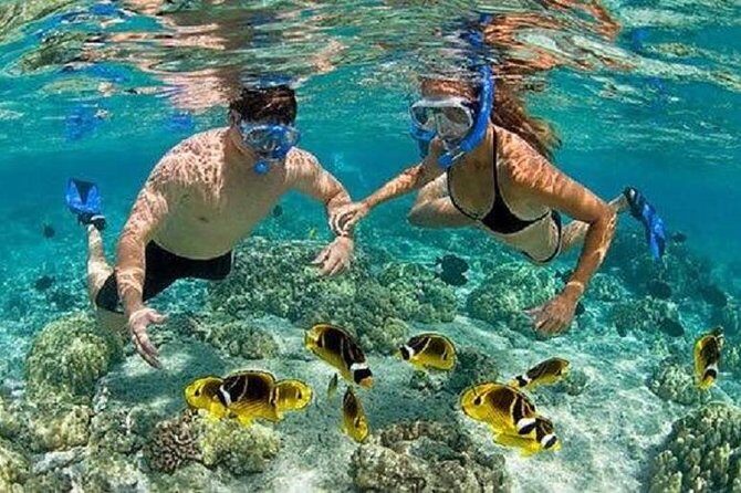 Bali Snorkeling at Blue Lagoon with Transport and Lunch - Blue Lagoon and Tanjung Jepun: why this Padangbai combo works
