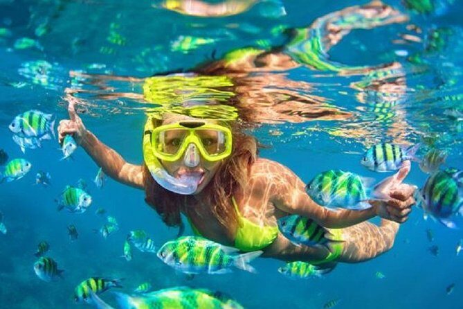 Bali Snorkeling at Blue Lagoon with Transport and Lunch - Transport from your hotel: punctual pickups, but plan for driving time