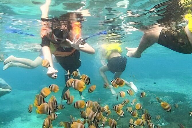 Bali Snorkeling Tour At Blue Lagoon with Gate of Heaven Temple - Lunch, showers, and the details that keep the day from feeling messy