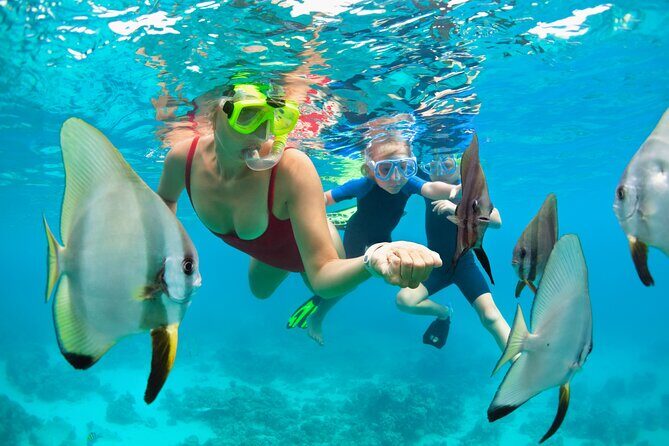 Bali Snorkeling Tour At Blue Lagoon with Gate of Heaven Temple - Blue Lagoon Beach snorkeling: calm water that works for beginners