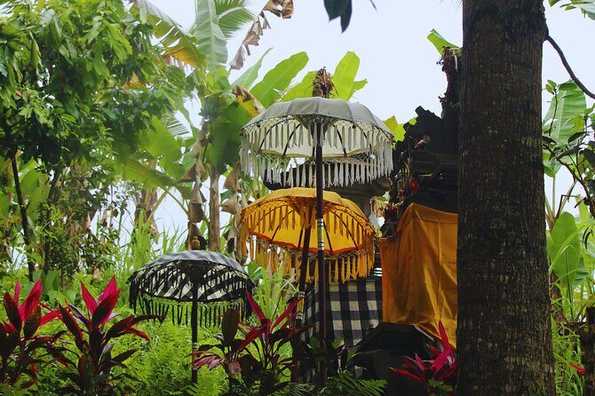 Bali Spiritual: Blessing Ceremony, Pristine Nature and Transfer - Key highlights you’ll feel the whole day