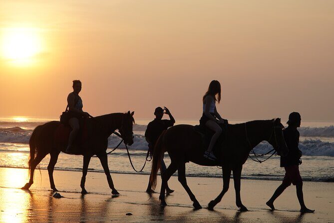 Bali Sunrise Horse Riding and Tour - Key things about this Bali sunrise ride