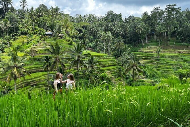 Bali Sunrise Without Hiking: Temples, Rice Terraces & Waterfall - Paperhills Cafe Sunrise in Kintamani, Without the Hike