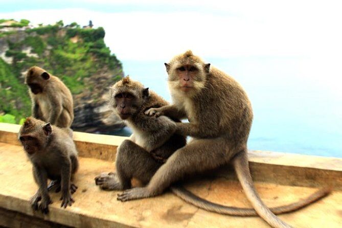 Bali Sunset: Uluwatu Temple, Kecak Dance and Jimbaran - Who This Tour Is Best For (and Who Might Want a Different Plan)