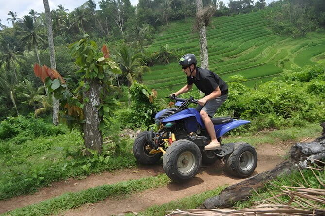 Bali Swing and Quad Bike Packages - Ubud Best Activities - Bali Pertiwi Adventure: Swinging Up to 78 Meters