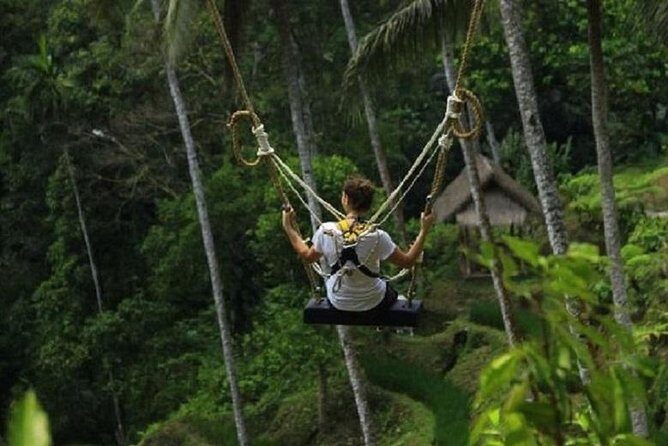 Bali Swing Heaven and White Water Rafting with All Inclusive - Guides like Gusti and Budi: professionalism plus culture