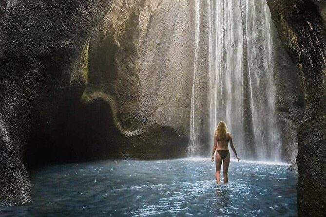 Bali Swing, Monkey Forest and Waterfall Private Tour - Price and value: what $24.65 really buys