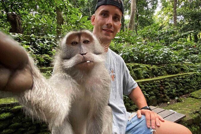 Bali Swing, Monkey Forest and Waterfall Private Tour - Stop 2: Sacred Monkey Forest Sanctuary and how to enjoy the temples