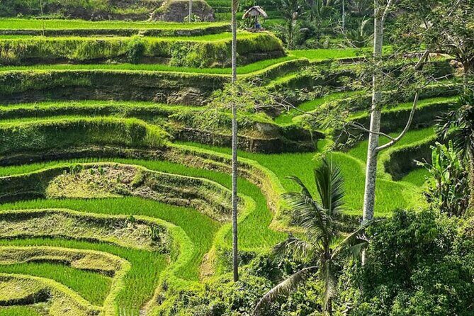Bali Swing, Monkey Forest and Waterfall Private Tour - Stop 4: Kanto Lampo Waterfall and tiered rock photos