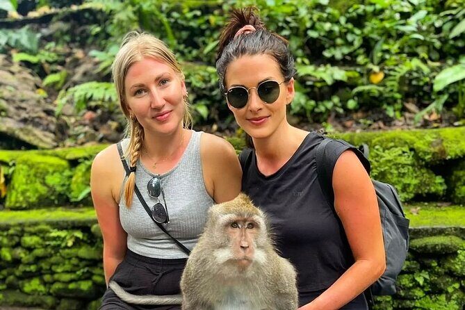 Bali Swing, Monkey Forest and Waterfall Private Tour - Transport, pacing, and why the small group size matters