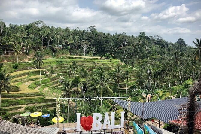 Bali Swing Packages and Kintamani Mt Batur Volcano View - Tegalalang Rice Terrace: why this stop stays famous