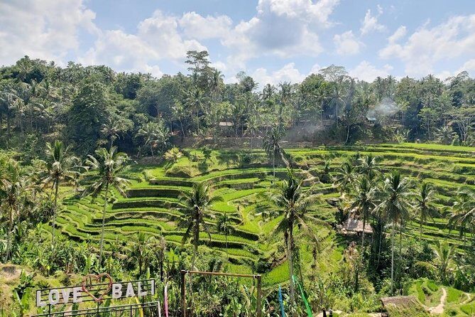 Bali Swing Ubud Private Day Tour - Tegalalang Rice Terrace: Classic Views, Photo-Worthy Light