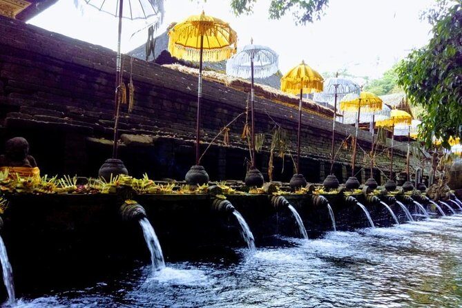 Bali Swing Ubud Private Day Tour - Tegenungan Waterfall: Rice Fields, Valley Views, and a Possible Swim