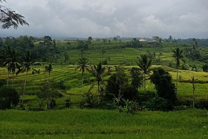 Bali Tanah Lot, Ulun Danu Beratan & Jatiluwih Rice Terrace - The big picture: Ubud to UNESCO terraces, a lake temple, and a sea temple