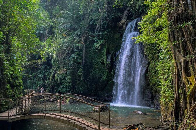 Bali Tirta Empul Tours Experience with Spiritual Cleansing - The Ride, Timing, and Why the Day Feels Easy