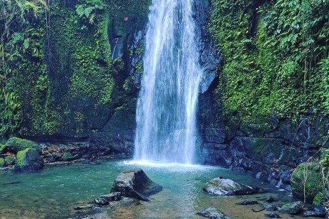 Bali Tirta Empul Tours Experience with Spiritual Cleansing - Price and Value: Is $57 Worth It?
