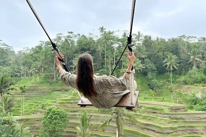 Bali Tour : Best Attractions in Ubud with Rice Terrace - Price and value: what $25 buys you, and when to upgrade