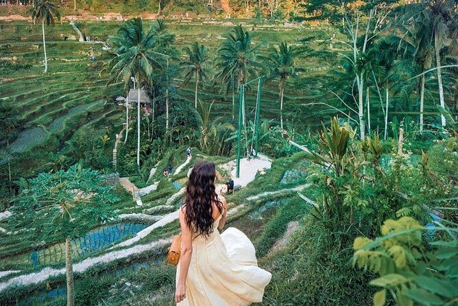 Bali Tour : Best Attractions in Ubud with Rice Terrace - Sacred Monkey Forest Sanctuary: sacred temple walls and a real jungle vibe