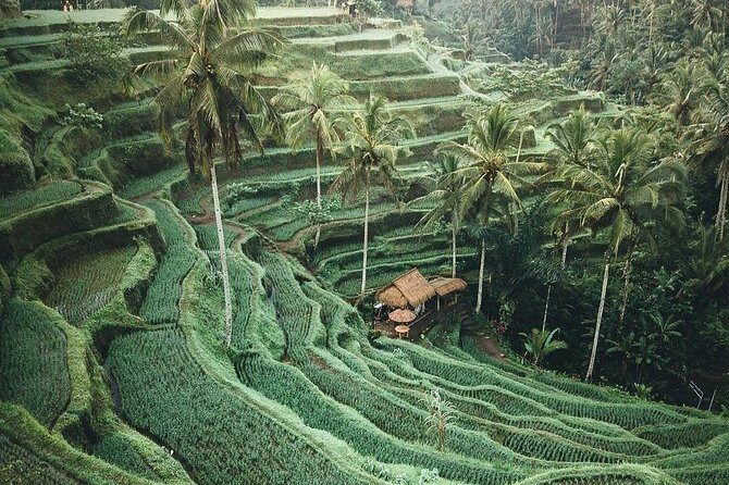 Bali Tour Customized With Local Guide - Uluwatu sunset and Kecak: beaches, temple views, and a seafood dinner